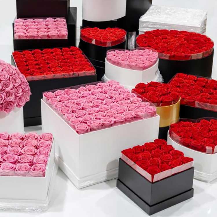 সংরক্ষিত ফুল আলিঙ্গন বালতি