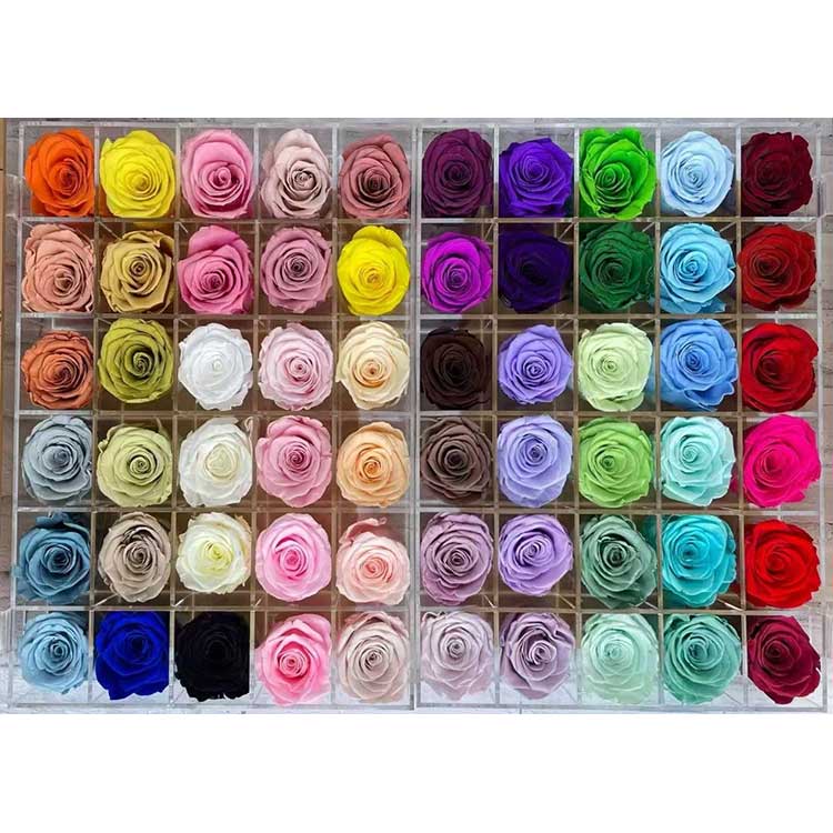 সংরক্ষিত গোলাপ